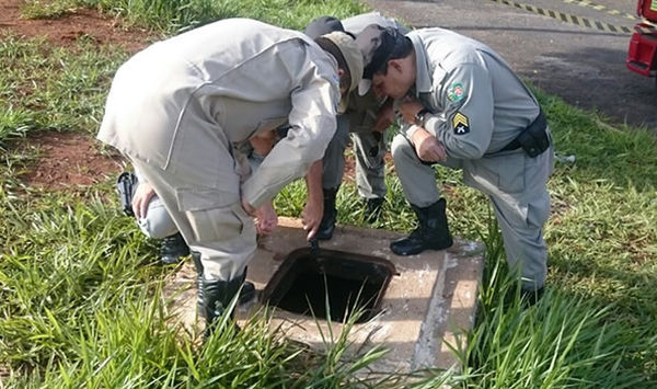Corpo carbonizado é encontrado em Catalão
