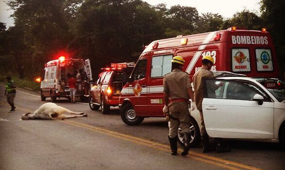 Acidente na GO 330 com vítima fatal