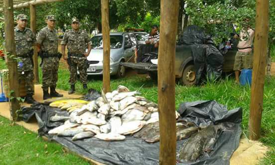 410 (quatrocentos e dez) quilos de pescado são apreendidos na região do Rio São Marcos