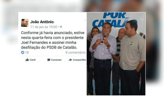 Saindo fora do ninho