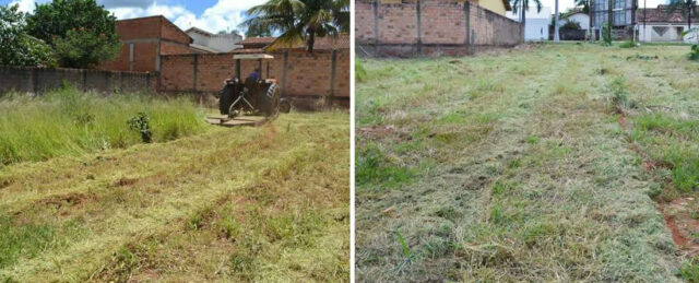 PREFEITURA DE OUVIDOR REALIZA LIMPEZA EM LOTES BALDIOS