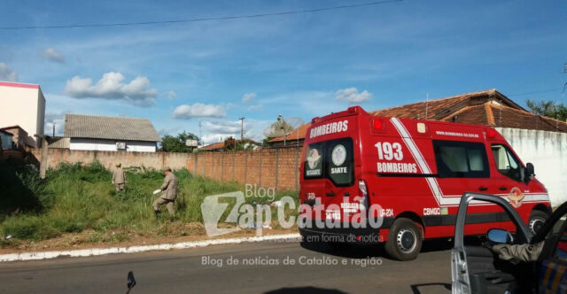 MULHER DE 28 ANOS É BALEADA NO BAIRRO CRUZEIRO EM CATALÃO