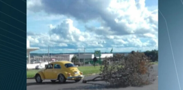 MOTORISTA DE FUSCA ARRASTA ÁRVORE MAIOR DO QUE O CARRO EM CATALÃO