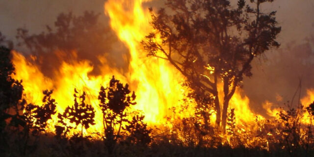 FAZENDEIRO É ACIONADO PARA CESSAR E REPARAR DANO AMBIENTAL EM CATALÃO