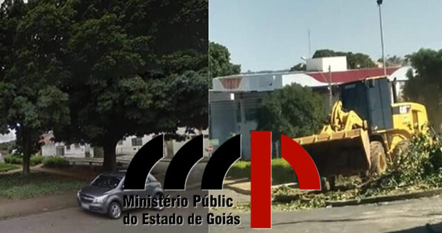 MINISTÉRIO PÚBLICO ACIONA PREFEITURA DE CATALÃO E CELG POR RETIRADA E PODA IRREGULAR DE ÁRVORES