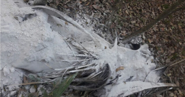 Corpo coberto com cal é encontrado na zona rural em Pires do Rio