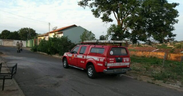 Queda de árvore no Bairro Paineiras