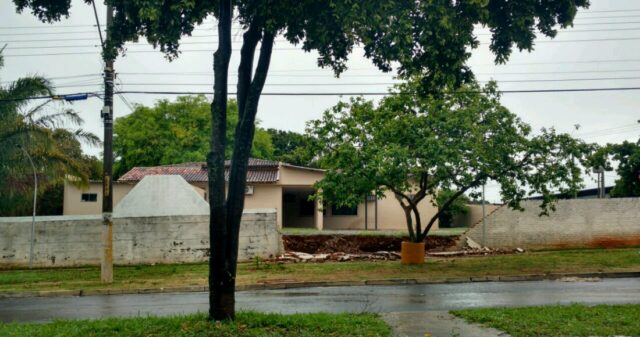 Chuva e ventos fortes quebra galho de árvore