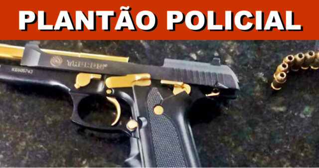 Homem é preso na GO 330 por porte ilegal de arma de fogo