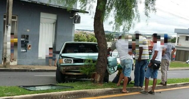 Motorista bate contra árvore após perder o controle do veículo