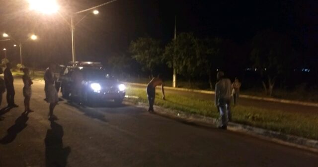 Bombeiros capturam cobra cascavel em canteiro de avenida no Bairro Castelo Branco II