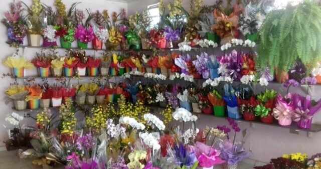 Dia das Mães aquece vendas de flores em Floriculturas de Catalão