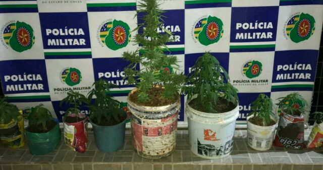 Polícia Militar prende traficantes de drogas