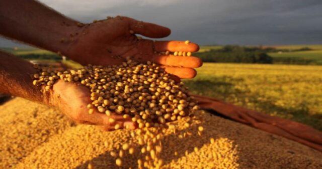 Sem caminhões, soja lota silos em Goiás