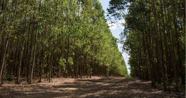 CMOC Brasil utiliza fontes alternativas de energia