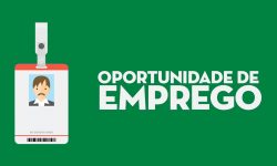 Confira as 280 oportunidades de emprego oferecida pela SETRAER nesta quarta-feira (29)