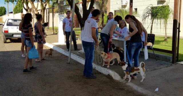 Prefeitura de Ouvidor realiza dia “D” de vacinação contra a Raiva Animal