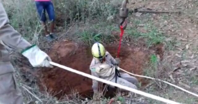 Bombeiros resgatam dois eqüinos dentro de cisterna, na Vila Dona Nilza, em Ipameri