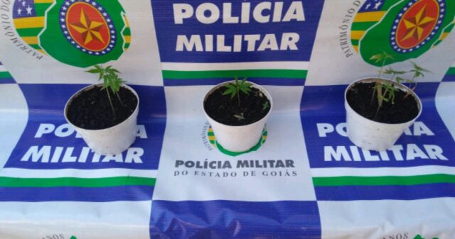 Polícia Militar prende suspeito de tráfico de drogas