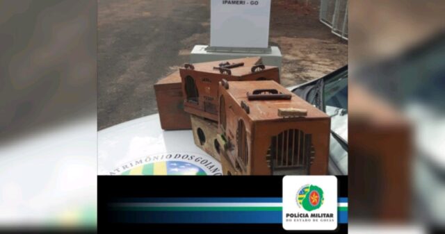 Polícia Militar lavra TCO por crimes ambientais