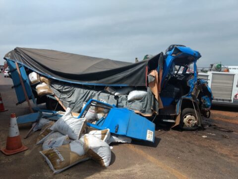 Motorista de caminhão fica ferido em acidente na BR 050