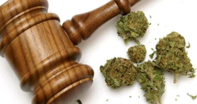 CPR lavra TCO por posse de drogas para consumo próprio