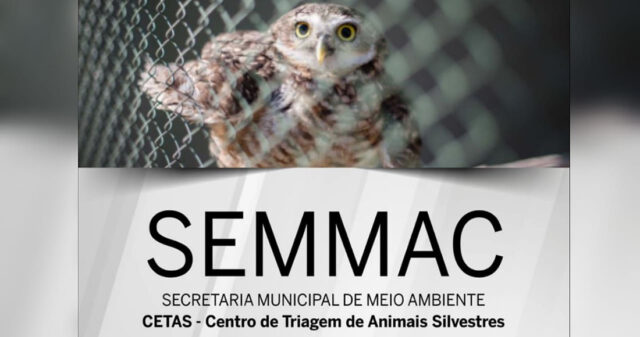 CETAS Catalão tem autorização de manejo da fauna silvestre renovada até 2020