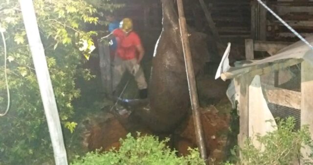 Cavalo cai em fossa e é resgatado pelos Bombeiros de Catalão