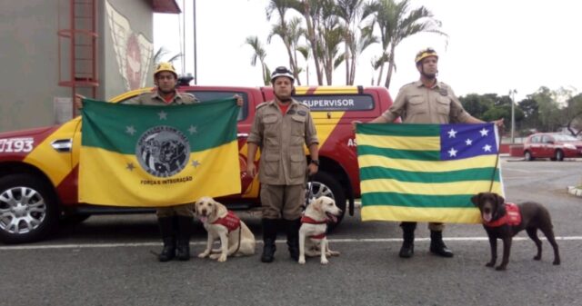 Bombeiros de Goiás são enviados para auxiliar nas buscas, em Brumadinho