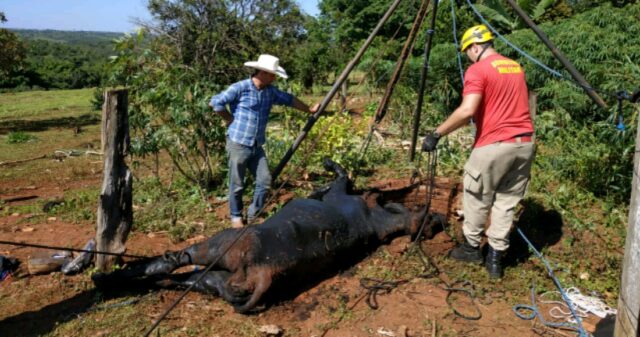 Em Ouvidor, Bombeiros resgatam vaca que caiu em fossa