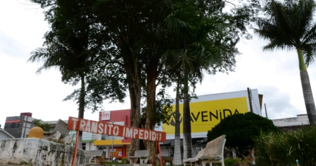 Área é interditada na Praça Getúlio Vargas para retirada de árvore que oferece risco iminente à população