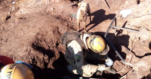 Bombeiros de Goiás que ajudaram nas buscas em Brumadinho retornam e recebem homenagem
