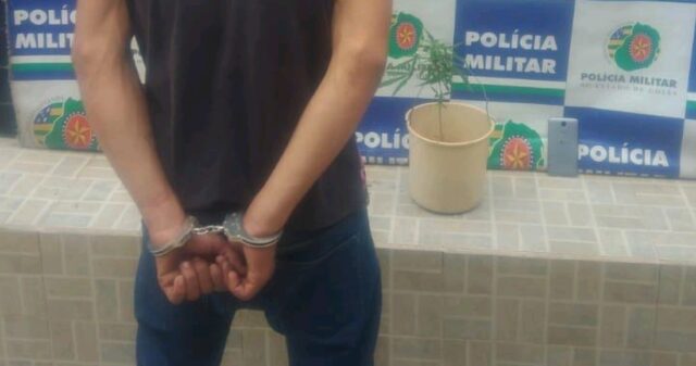 Polícia Militar recupera celular roubado e apreende entorpecentes