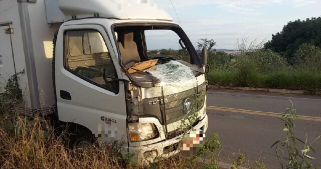Cavalo morre após ser atropelado por caminhão na GO-330 no perímetro urbano de Catalão