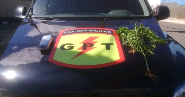 Grupo de Patrulhamento Tático de Catalão no combate ao Tráfico de Drogas