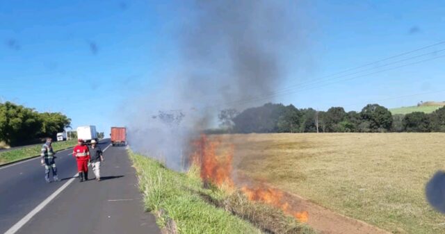 Idoso de 69 anos é flagrado ateando fogo em mata às margens da BR 153