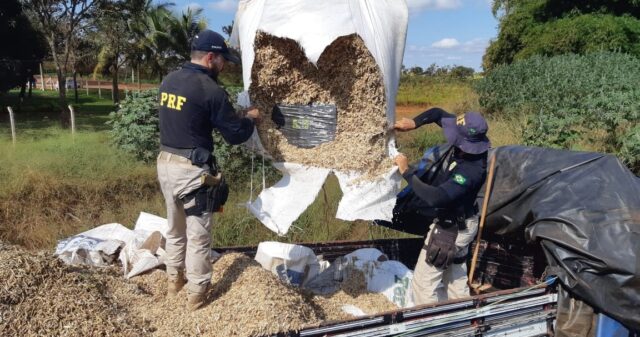 Casal é preso em Jataí transportando cerca de 600 quilos de drogas