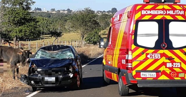 Passageira fica ferida após carro em que estava colidir contra animal na GO-305, município de Goiandira