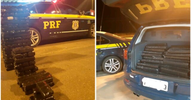 Condutora é detida e tabletes de maconha apreendidos durante abordagem na BR-050 em Uberlândia