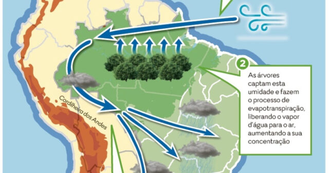 Queimadas mudam chuva e cultivo em Goiás