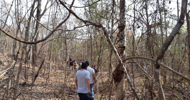 Ossada humana é encontrada em área de mata no município de Anhanguera