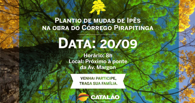 Obra do Córrego Pirapitinga: Dezenas de árvores serão plantadas nesta sexta no local