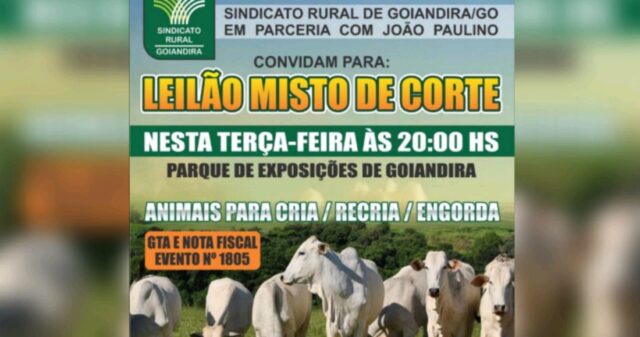 Sindicato Rural de Goiandira promove Leilão Misto de Corte