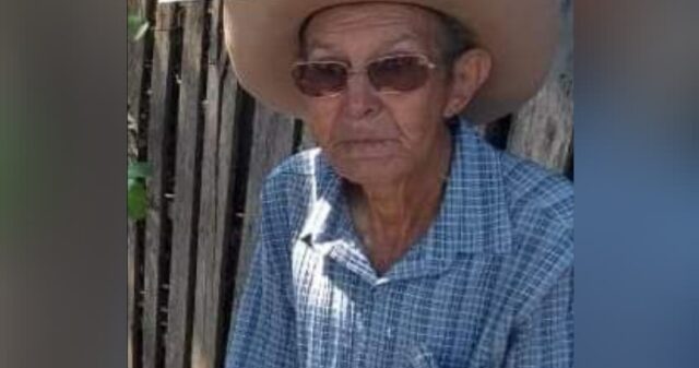 Morre idoso que levou mais de mil picadas de abelha na zona rural de Três Ranchos