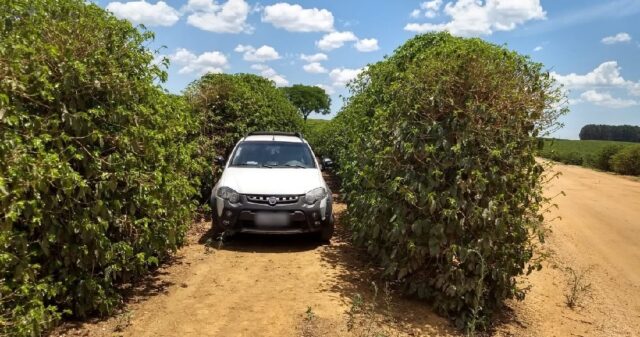 Caminhonete roubada/clonada é apreendida em Patrocínio