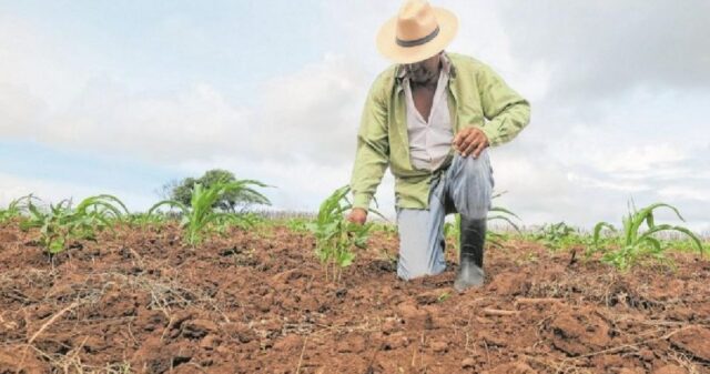 Produtores rurais tem desconto na tarifa de energia, prazo para cadastro termina dia 31 de outubro