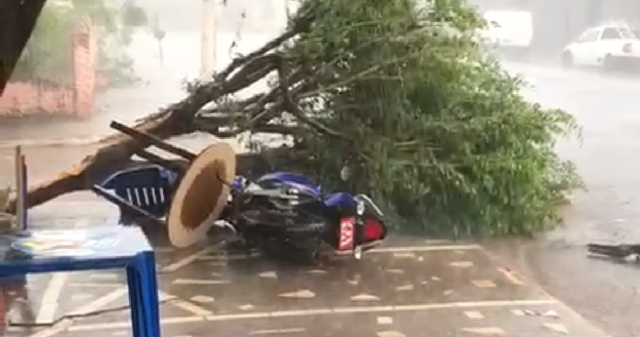 Temporal causa estragos no município de Ipameri