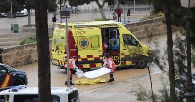 Goiana morre na Espanha após palmeira cair sobre ela durante tempestade