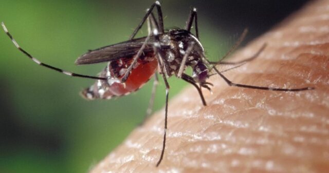 Casos de dengue em Catalão nas primeiras semana de 2022 ultrapassam a metade dos casos do ano anterior