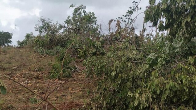 Comando de Policiamento Ambiental no combate ao desmatamento em Ipameri-GO